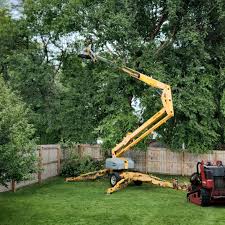 Best Firewood Processing and Delivery  in Kingston, NJ