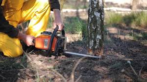 Best Grass Overseeding  in Kingston, NJ